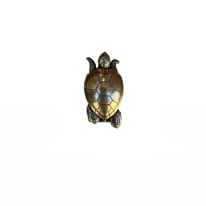 Hexagone Cuir Tortue ceinture cuir kaki 85 cm